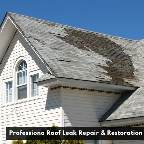 Roof Leak Detection in Hardtner, KS
